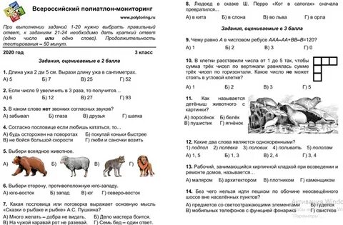 Олимпиады для 1 класса 2023