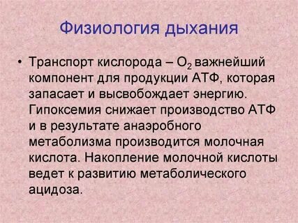 Объяснить физиологию