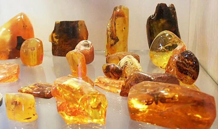 музей янтаря кратко. янтарь калининград музей янтаря. музей янтаря в калининграде. областной музей янтаря в калининграде. музей янтаря кратко.