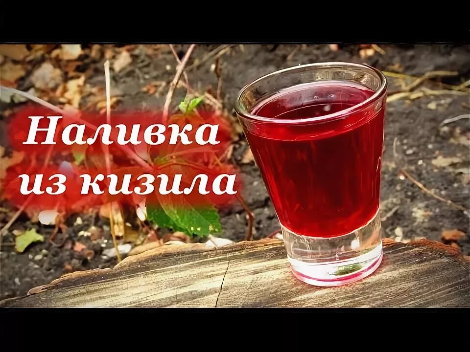 Рецепты приготовления настоек видео
