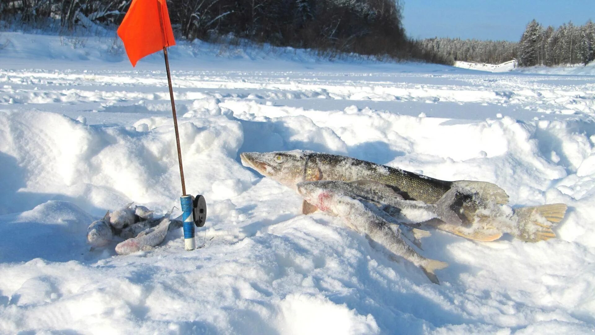 зимняя рыбалка в феврале. зимние мормышки на окуня. зимняя рыбалка в феврале. зимняя рыбалка 2021 год. зимняя рыбалка.