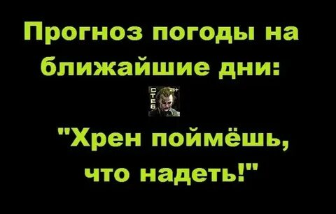 Хрен поймешь