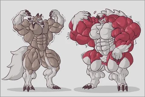 Fury muscle growth