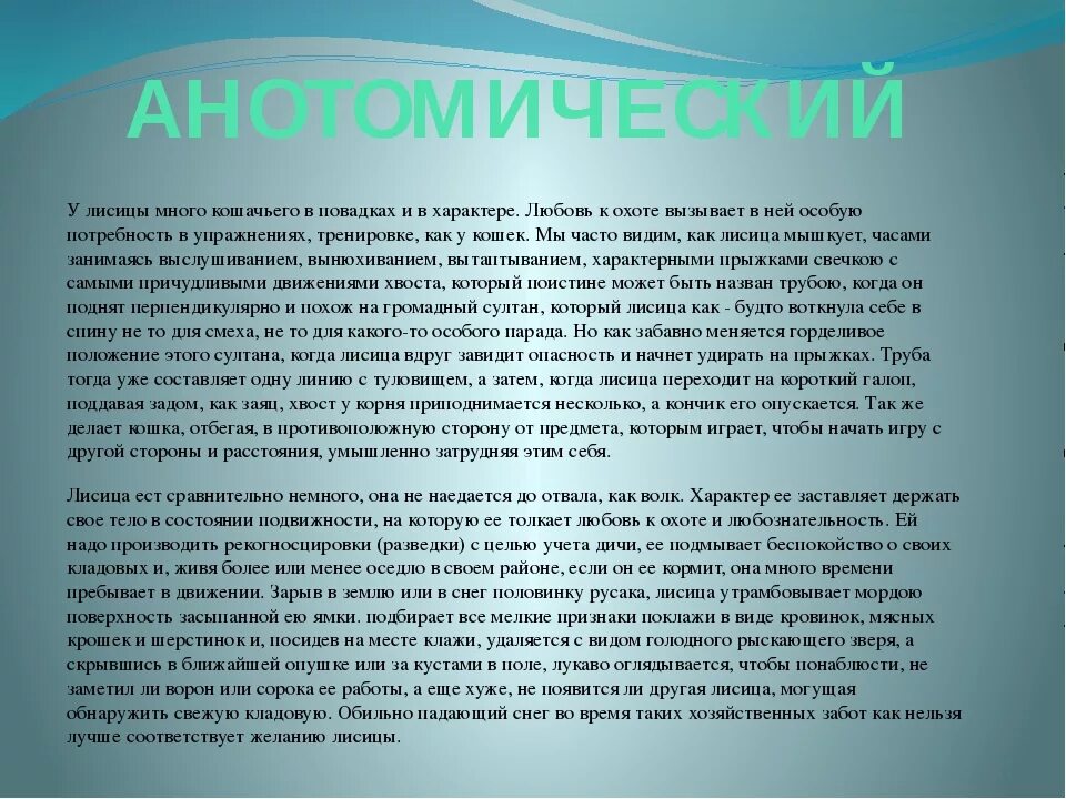 В тексте много информации