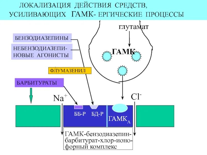 Вещество усиливающее действие. Барбитурат бензодиазепин ГАМК-рецепторный комплекс. ГАМК рецепторы схема. Агонисты ГАМК бензодиазепиновых рецепторов препараты. Агонист ГАМК рецепторов.