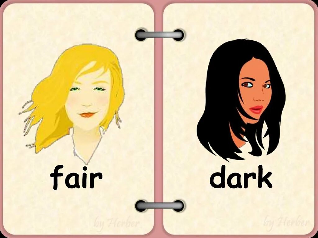 He is fair. Внешность Flashcards. Fair and Dark hair рисунок для детей. Fair волосы на английском. Карточки opposites.