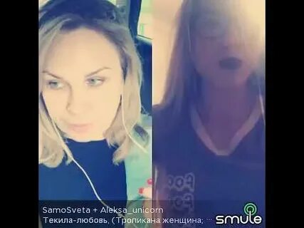 Текила любовь тропикана