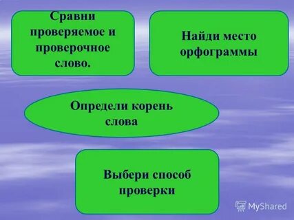 Спешка корень слова