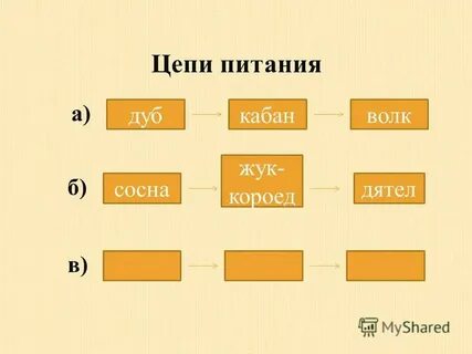 Цепь питания капуста жаба