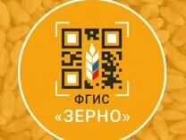 Вгис зерно