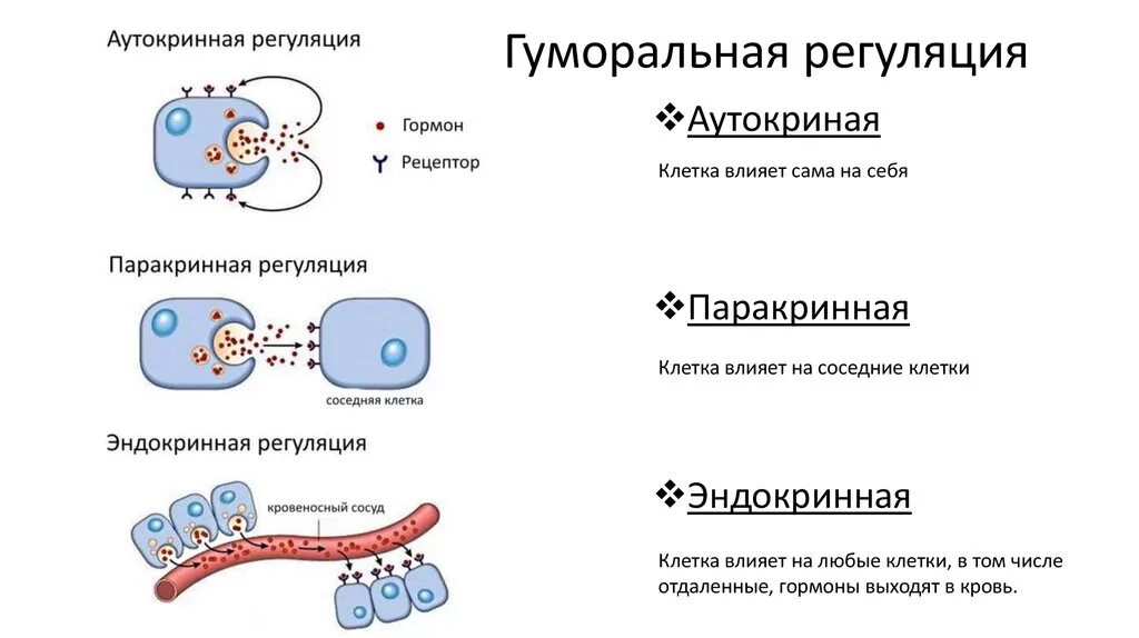 виды вибрации по способу передачи на человека. способы передачи информации в сетях. способы передачи информации. способы оповещения населения о чс. сообщение электронной почты схема.