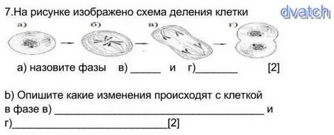 На рисунке 1 изображены схемы