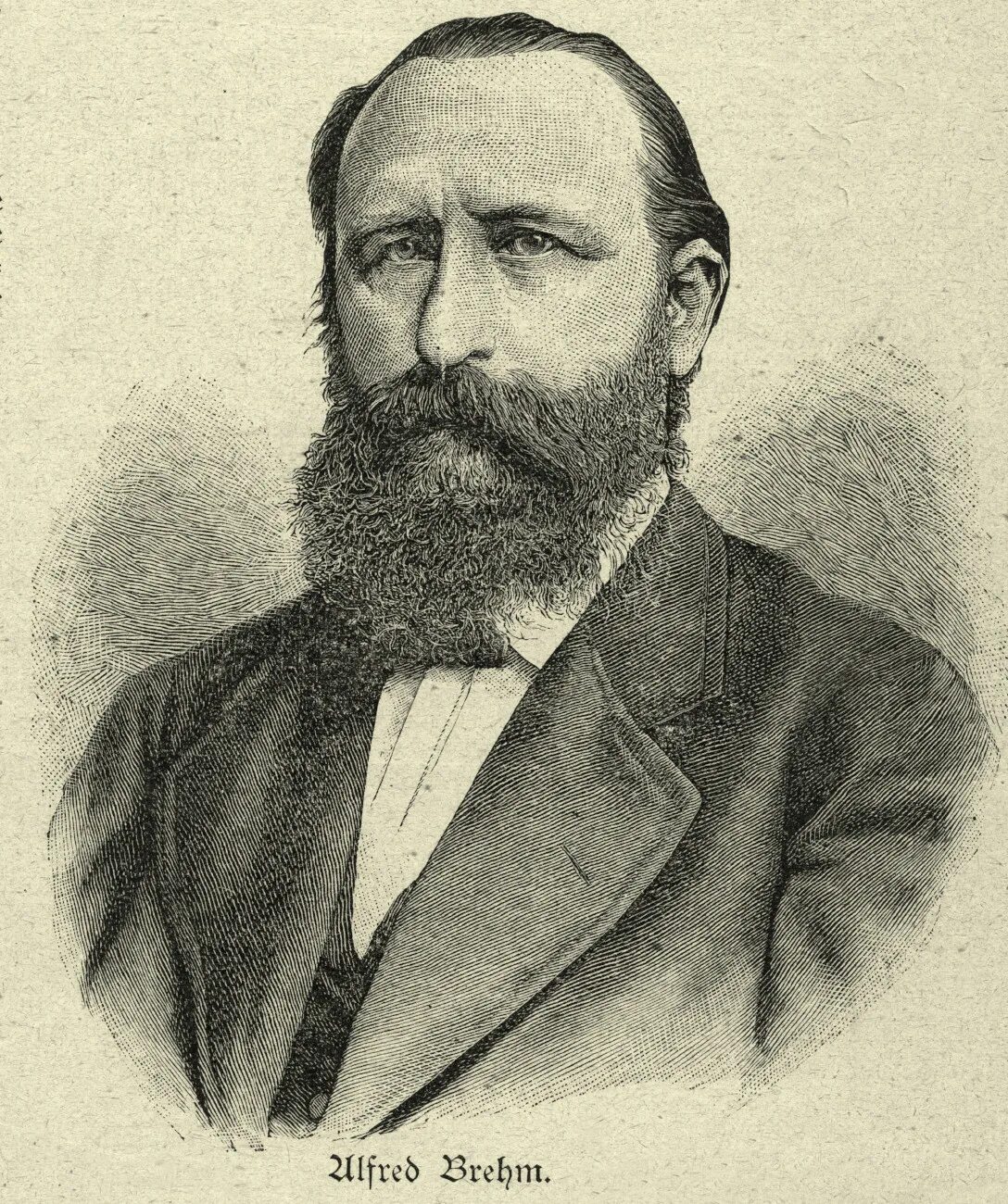 Ученый брем. Немецкий зоолог 4. Бовери. Карл август мебиус экология. Немецкий зоолог.