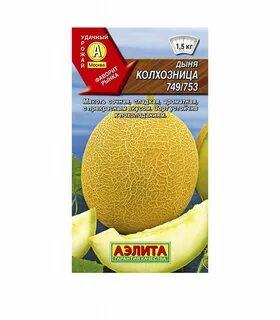 Дыня колхозница описание