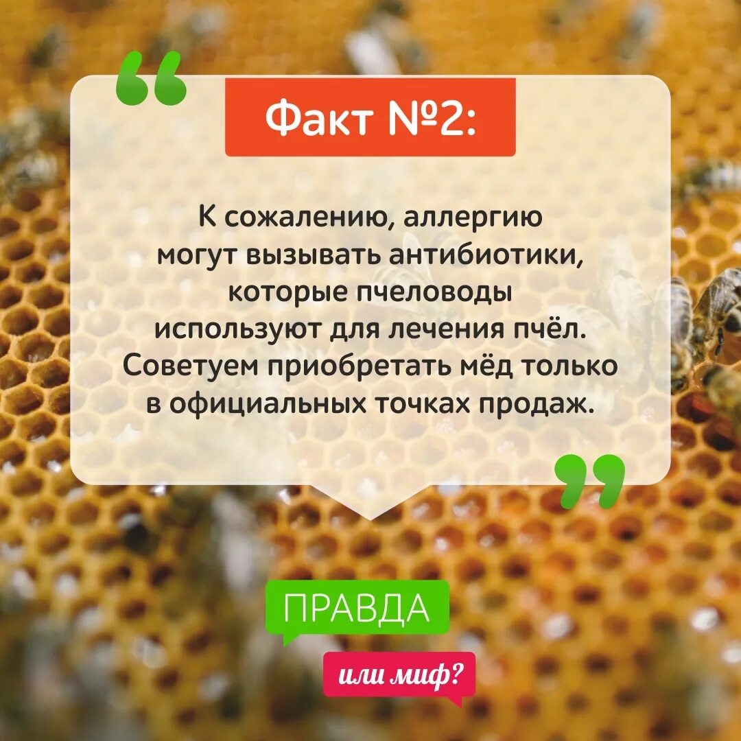 Мед не вызывающий аллергию. Аллергия на медовую продукцию. Может ли аллергия на мёд. Кормящим можно мед