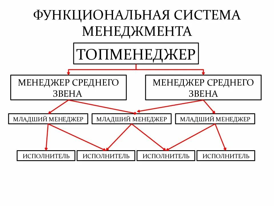 Функционально экономическая система. Функциональная система управления. функциональная система менеджмента. функциональный менеджмент. управленческая система.