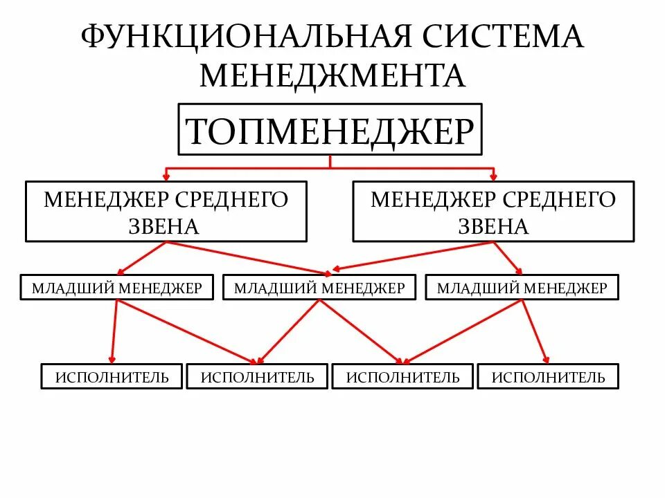 Функциональная система управления. Функциональная система менеджмента. Функциональный менеджмент. Управленческая система. Функционально экономическая система