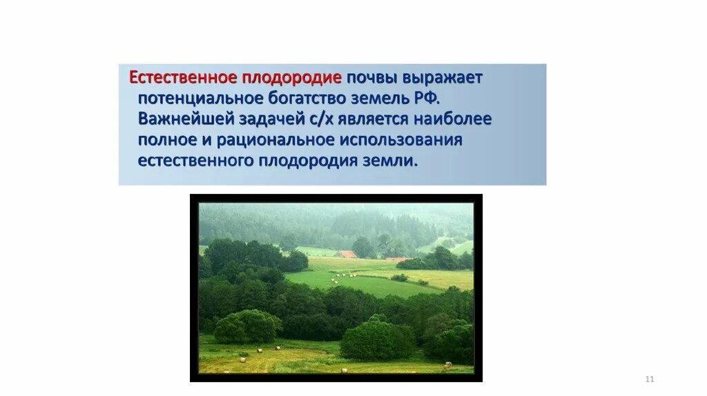 Естественное плодородие. Естественное плодородие почвы. Естественное (природное) плодородие. Рациональное использование земельных ресурсов. Плодородие почвы калужской области