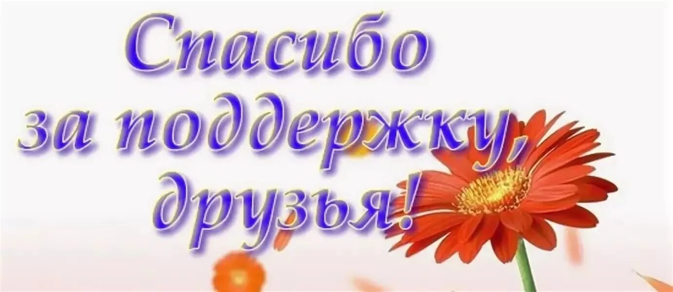 Спасибо скину. Спасибо за поддержку. Благодарю за поддержку. Спасибо друзьям за поддержку. Спасибо всем за поддержк.