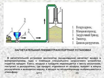 Установить принцип