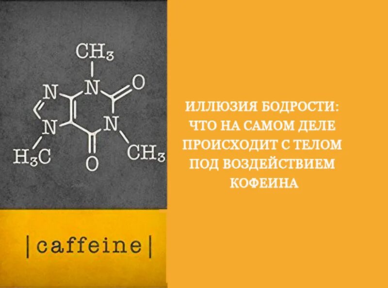 Действие кофеина на организм. Влияние кофеина на организм. Кофеин воздействие на организм. Кофеин действие на организм. Влияние кофеина на организм картинки.