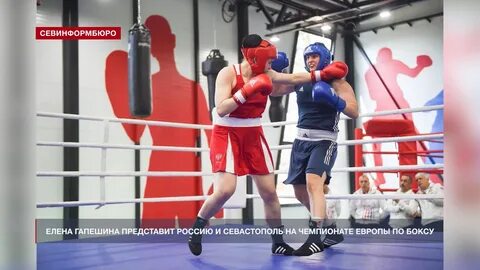 Бокс чемпионат европы