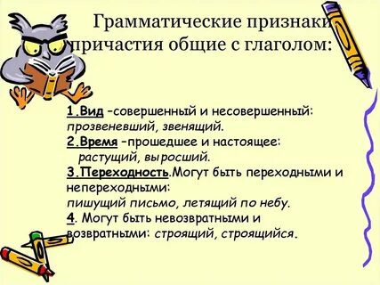 Общий грамматический признак это