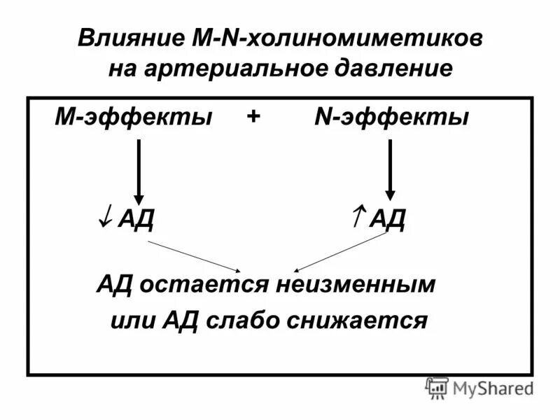 Механизм действия м холиномиметиков. Н-холиномиметики механизм действия. М Н холиномиметики механизм действия. Н холиномиметики эффекты. Фармакологические эффекты м н холиномиметиков.