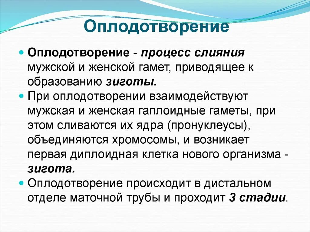 Для успешного слияния гамет и образования