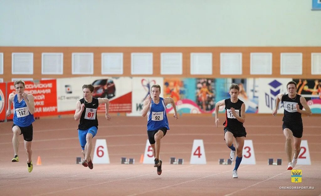 соревнования по легкой атлетике оренбург. александр величко оренбург легкая атлетика. фотографии спортивных соревнований. оренбург спорткомитет президент. школа оренбург волейбол.