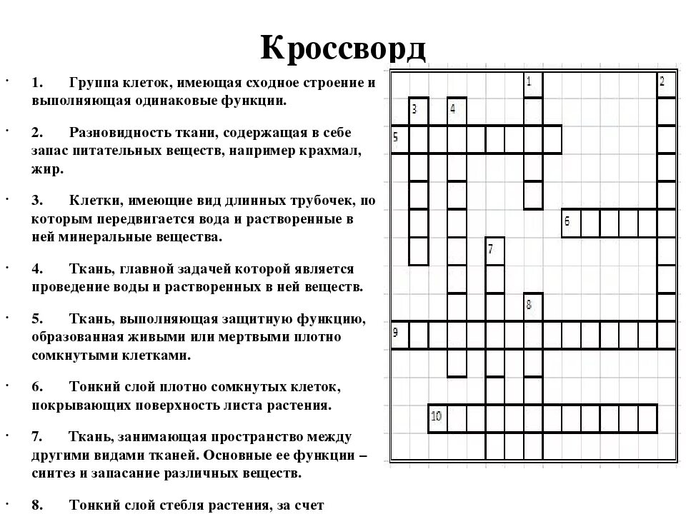 Кроссворд на тему клетка по биологии 5 класс. Биология 5 класс кроссворд на тему строение клетки. Кроссворд на тему ткани растений 5 класс биология. Кроссворд на тему клетка.