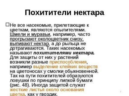 Являются опылителями растений