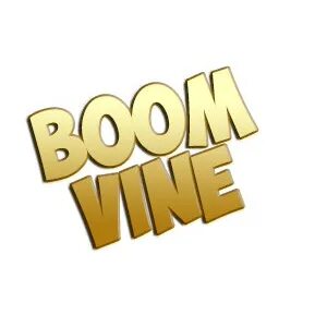 Vine boom mp3