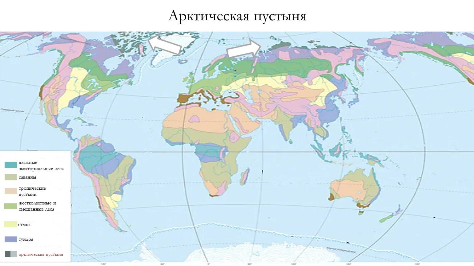 Природная зона территория земли. Природные зоны земли 7 класс география карта. Природные зоны экваториальные леса на карте. Карта природных зон 7 класс география.