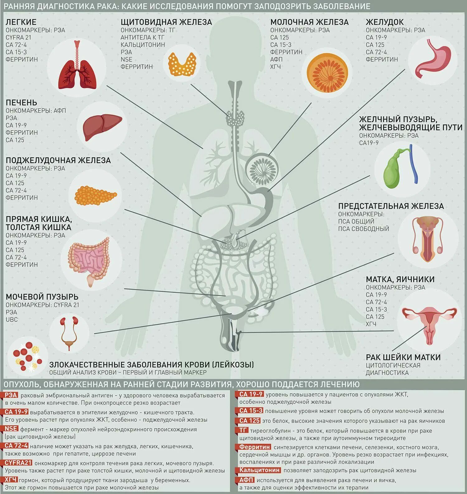 Повышен железа печень. Анализ на онкомаркеры. Кровь на онкомаркеры. Онкомаркеры желудочно-кишечного тракта. Онкомаркеры для женщин.