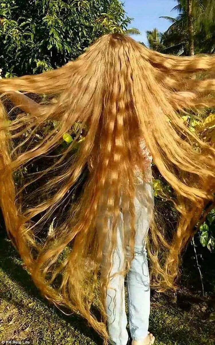 Самый высокий волос. Лонг Хаир Рапунцель. Самые длинные волосы. Самые длинные волосы в мире. Саиы длинные волосы в мире.
