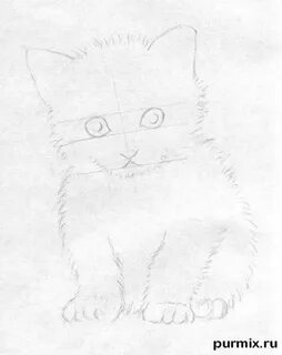 Коты нарисованные простым карандашом легкие