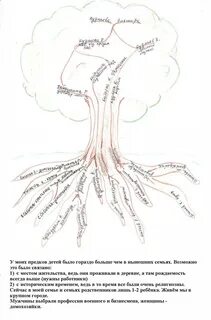 Прадед корень