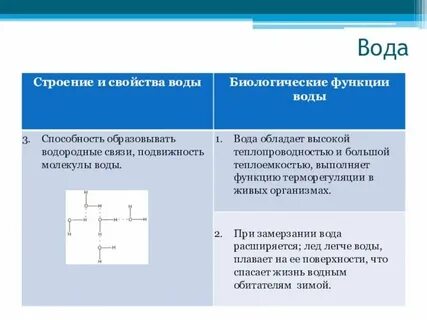 Вода в биологии