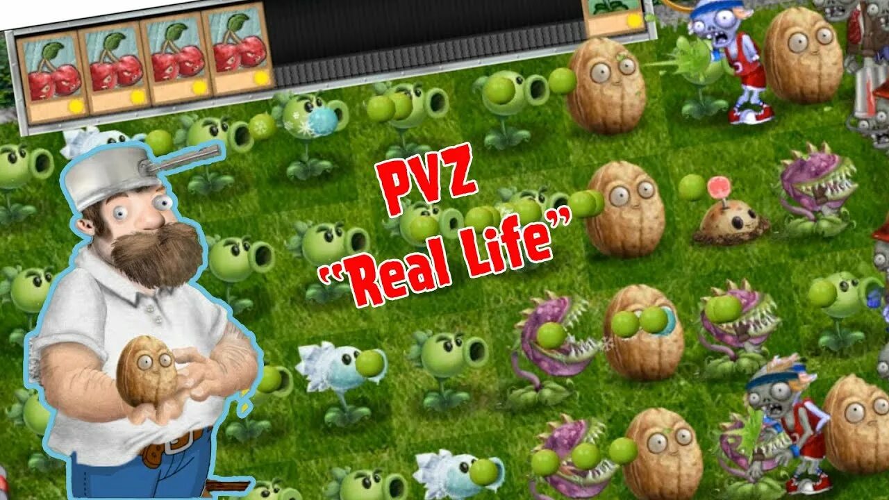 Real life edition. PVZ real Life Edition. Plants vs Zombies real Life Mod Edition. PVZ real Life Edition v2.1. PVZ in real Life.