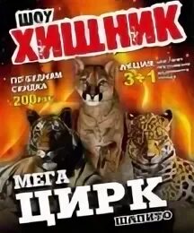 Цирк у мегаторга