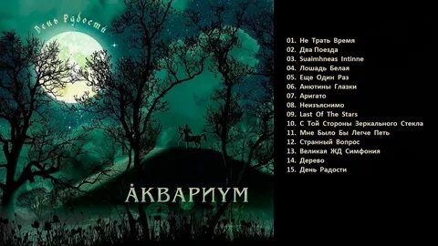 Аквариум текст sqwore
