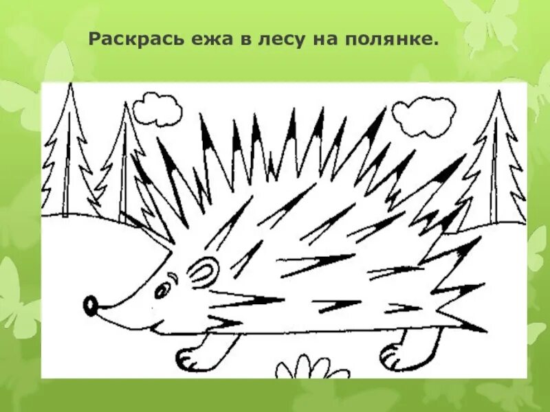 Ежик рисунок. Поэтапное рисование ежа. Рисование для детей ежик красками. Поэтапное рисование ежика. Рисование ежа.