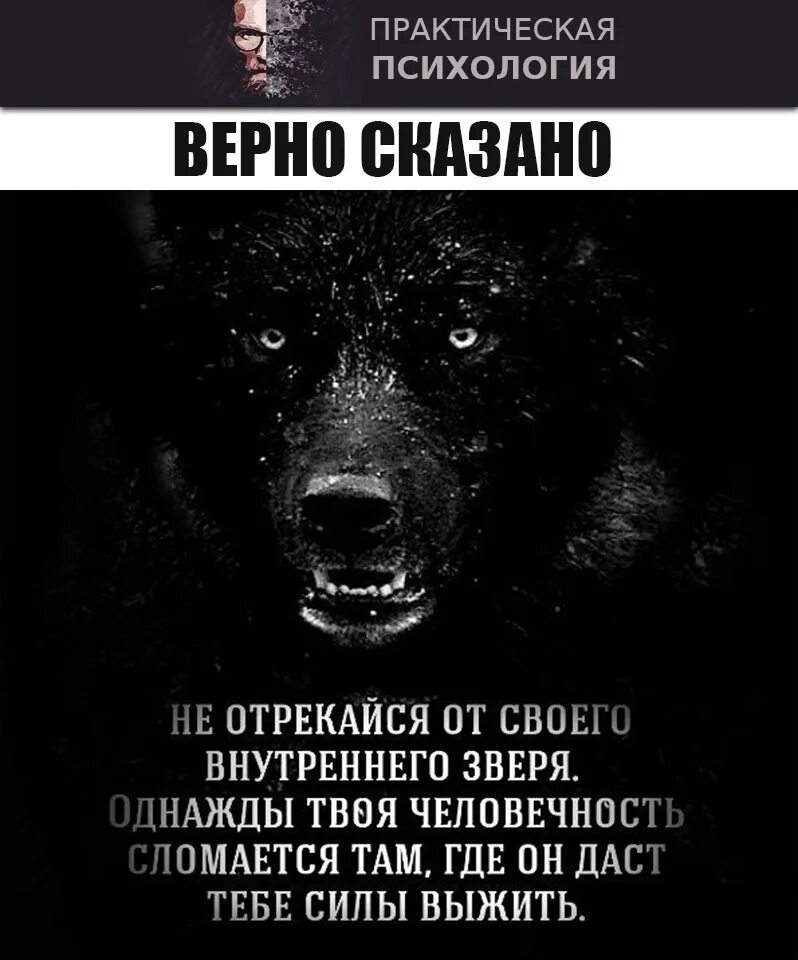 Человек человеку волк выражение