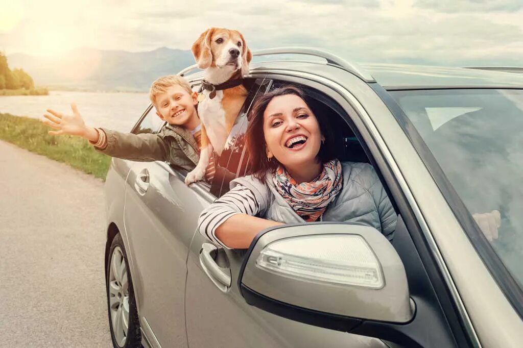 Ковалевский александр альбертович. Друзья в машине. Джек рассел тревел. Собака за рулем. Парень в машине с собакой.