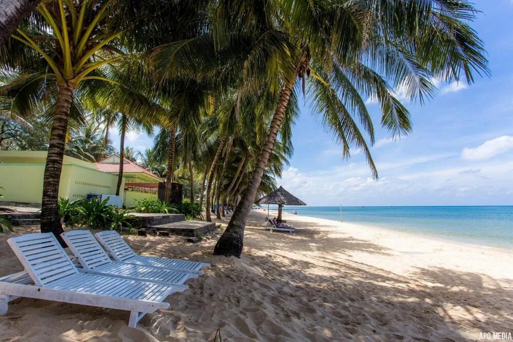 Hawaii resort phu quoc. Остров фантьет вьетнам. Ресторан кетама аналог. Hawaii resort phu quoc. Hawaii resort phu quoc.