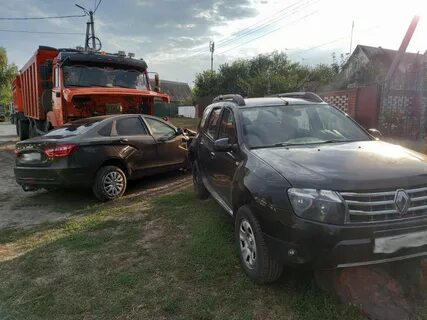 Волк рассказово происшествия