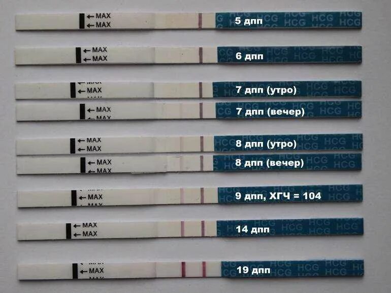 Тест на беременность 5 дней после подсадки. Тесты на беременность после переноса эмбрионов 5. Тест на беременность на 7 день после переноса эмбрионов. Тест на беременность после криопереноса 5.