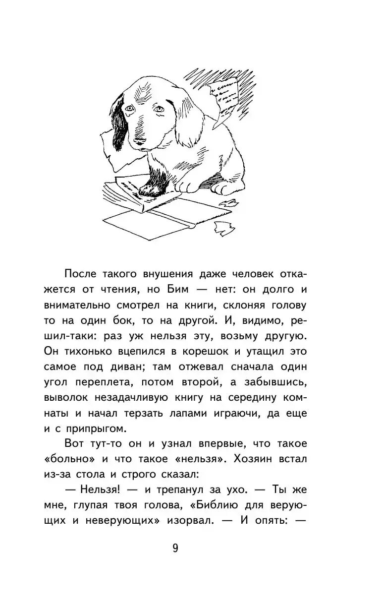 Читать книгу белый бим черное. Белый бим чёрное ухо пересказ 1 главы. отзыв по книге белый бим черное ухо 4 класс. краткий пересказ белый бим черное ухо по главам. белый бим черное ухо отрывок.