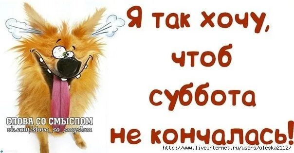 Форум хочется. Коня на скаку остановит в горящую избу войдет картинки. Мемы самп. Когда очень хочется кушать. Хочется подарить некоторым.